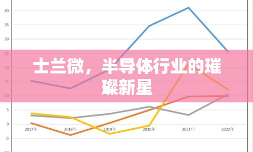 士蘭微，半導(dǎo)體行業(yè)的璀璨新星