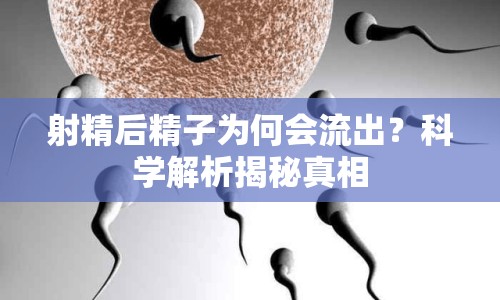 射精后精子為何會(huì)流出？科學(xué)解析揭秘真相