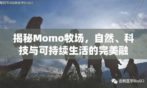 揭秘Momo牧場(chǎng)，自然、科技與可持續(xù)生活的完美融合