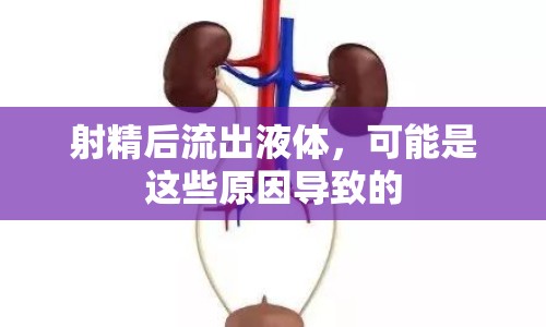 射精后流出液體，可能是這些原因導致的