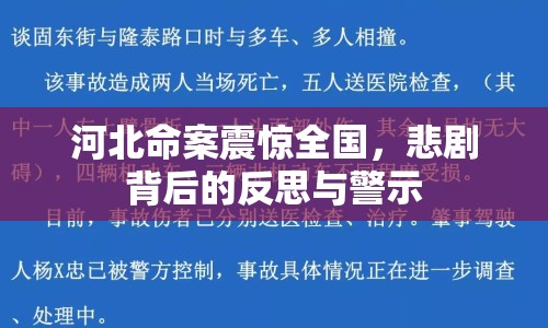 河北命案震驚全國，悲劇背后的反思與警示