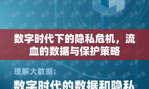 數字時代下的隱私危機，流血的數據與保護策略