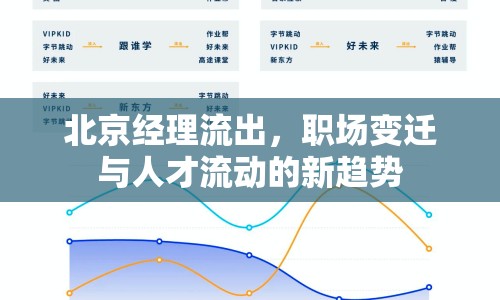 北京經(jīng)理流出，職場變遷與人才流動的新趨勢