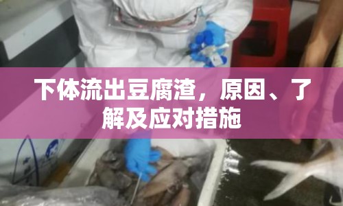 下體流出豆腐渣，原因、了解及應(yīng)對措施