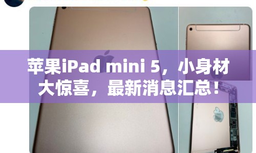 蘋果iPad mini 5，小身材大驚喜，最新消息匯總！