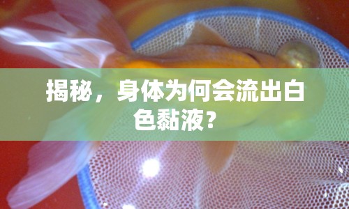 揭秘，身體為何會(huì)流出白色黏液？