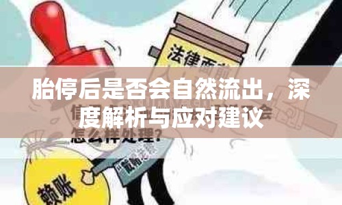 胎停后是否會自然流出，深度解析與應對建議