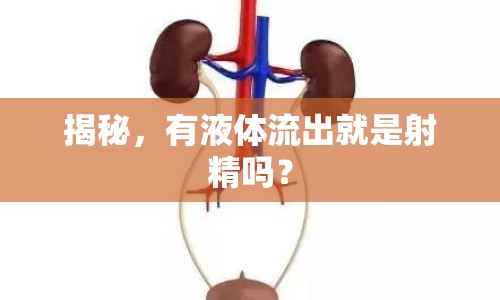 揭秘，有液體流出就是射精嗎？