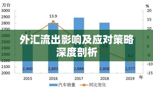 外匯流出影響及應對策略深度剖析