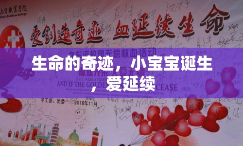 生命的奇跡，小寶寶誕生，愛延續(xù)