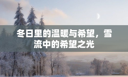 冬日里的溫暖與希望，雪流中的希望之光