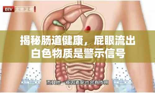 揭秘腸道健康，屁眼流出白色物質(zhì)是警示信號(hào)