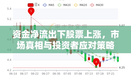 資金凈流出下股票上漲，市場真相與投資者應對策略