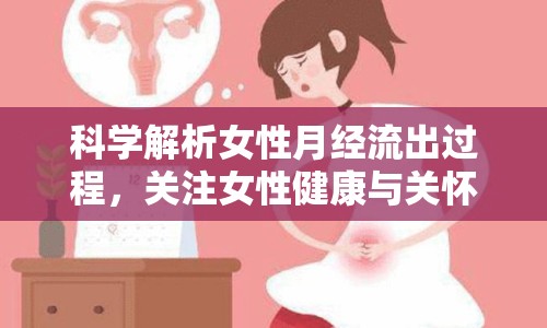 科學解析女性月經(jīng)流出過程，關注女性健康與關懷