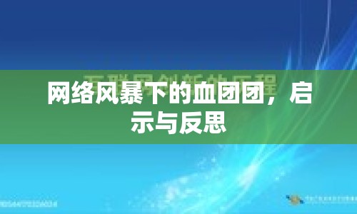 網(wǎng)絡(luò)風(fēng)暴下的血團(tuán)團(tuán)，啟示與反思