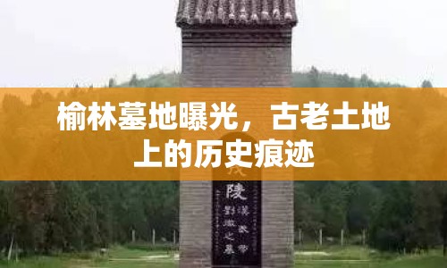 榆林墓地曝光，古老土地上的歷史痕跡