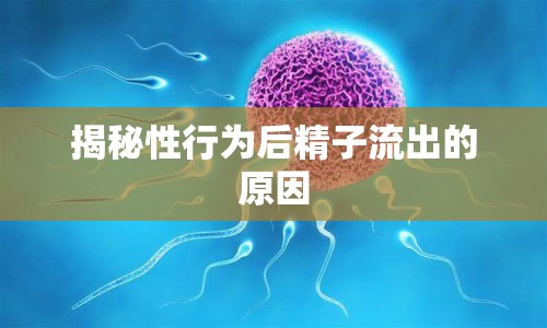 揭秘性行為后精子流出的原因