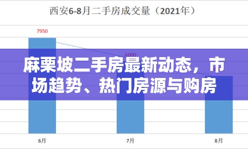 麻栗坡二手房最新動(dòng)態(tài)，市場趨勢、熱門房源與購房指南