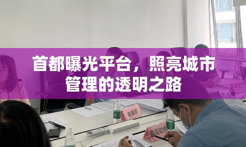 首都曝光平臺，照亮城市管理的透明之路