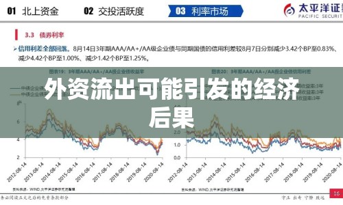 外資流出可能引發(fā)的經(jīng)濟(jì)后果