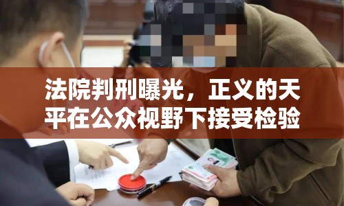 法院判刑曝光，正義的天平在公眾視野下接受檢驗(yàn)