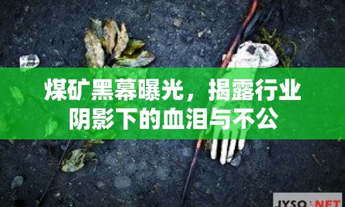 煤礦黑幕曝光，揭露行業(yè)陰影下的血淚與不公