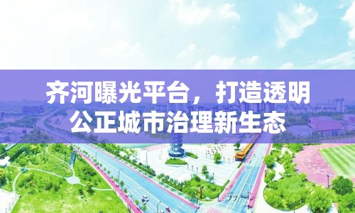 齊河曝光平臺，打造透明公正城市治理新生態(tài)