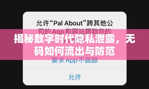 揭秘數(shù)字時代隱私泄露，無碼如何流出與防范