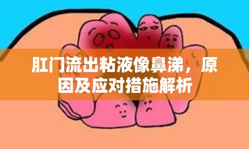 肛門流出粘液像鼻涕，原因及應(yīng)對(duì)措施解析