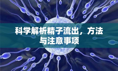 科學(xué)解析精子流出，方法與注意事項(xiàng)