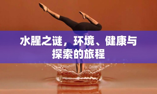 水腥之謎，環(huán)境、健康與探索的旅程