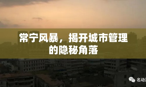 常寧風(fēng)暴，揭開城市管理的隱秘角落