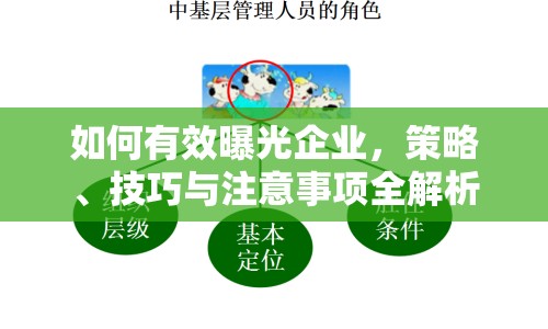 如何有效曝光企業(yè)，策略、技巧與注意事項全解析