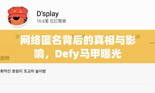 網(wǎng)絡(luò)匿名背后的真相與影響，Defy馬甲曝光