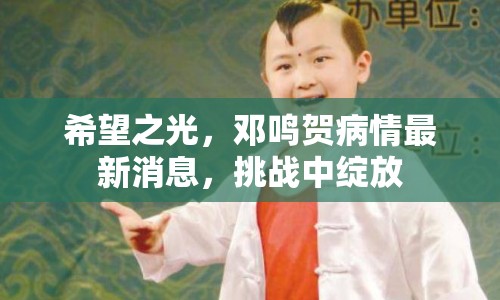 希望之光，鄧?guó)Q賀病情最新消息，挑戰(zhàn)中綻放