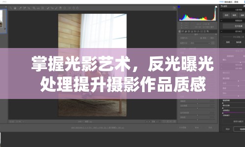 掌握光影藝術(shù)，反光曝光處理提升攝影作品質(zhì)感