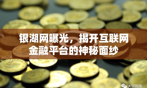 銀湖網曝光，揭開互聯(lián)網金融平臺的神秘面紗