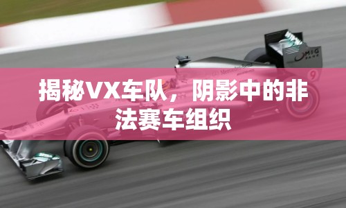 揭秘VX車隊(duì)，陰影中的非法賽車組織