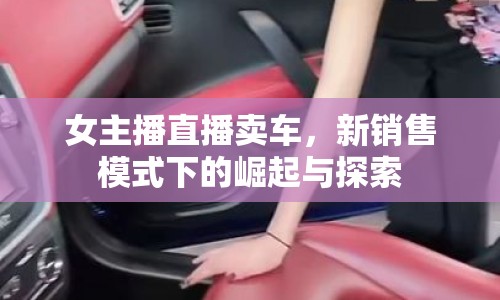 女主播直播賣(mài)車(chē)，新銷售模式下的崛起與探索