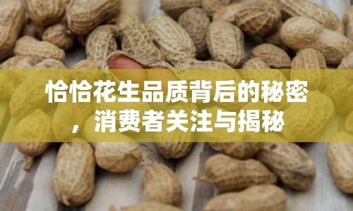 恰恰花生品質(zhì)背后的秘密，消費者關(guān)注與揭秘