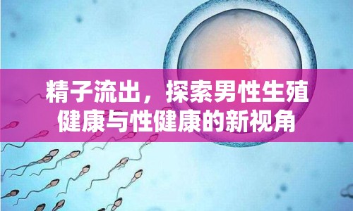 精子流出，探索男性生殖健康與性健康的新視角