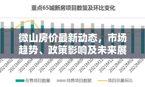 微山房價最新動態(tài)，市場趨勢、政策影響及未來展望