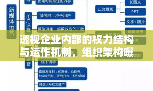 透視企業(yè)內(nèi)部的權(quán)力結(jié)構(gòu)與運作機制，組織架構(gòu)曝光