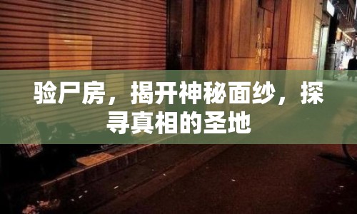 驗(yàn)尸房，揭開神秘面紗，探尋真相的圣地