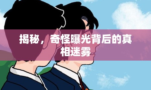 揭秘，奇怪曝光背后的真相迷霧