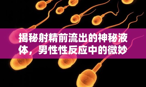 揭秘射精前流出的神秘液體，男性性反應(yīng)中的微妙變化