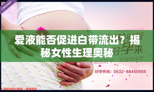 愛液能否促進白帶流出？揭秘女性生理奧秘