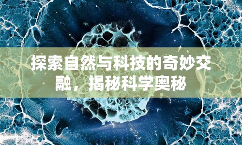 探索自然與科技的奇妙交融，揭秘科學(xué)奧秘