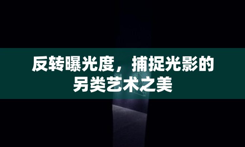 反轉曝光度，捕捉光影的另類藝術之美