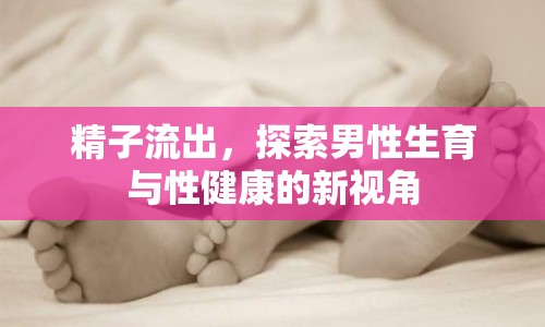 精子流出，探索男性生育與性健康的新視角